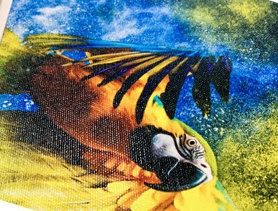 Custom Canvas Prints 8X10 / Semi-Gloss