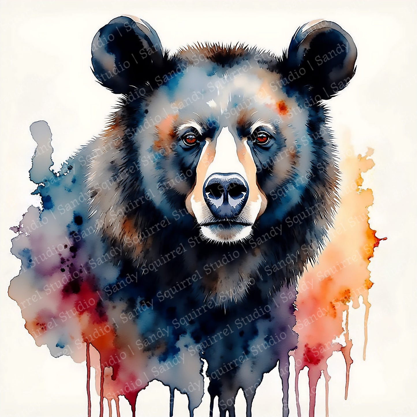 Blackie Watercolor Style Black Bear Art