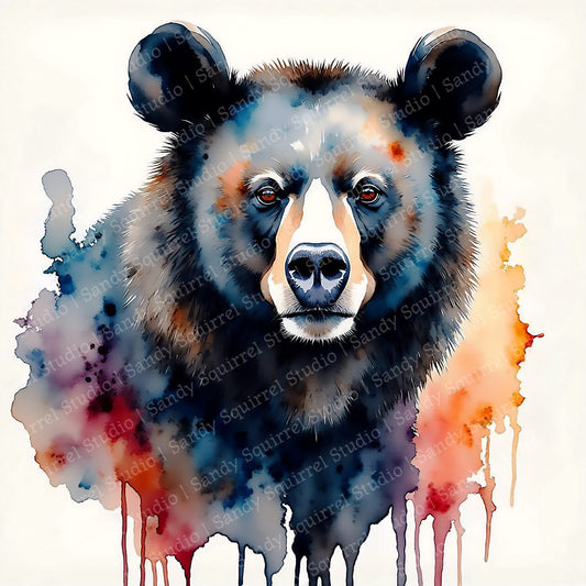 Blackie Watercolor Style Black Bear Art
