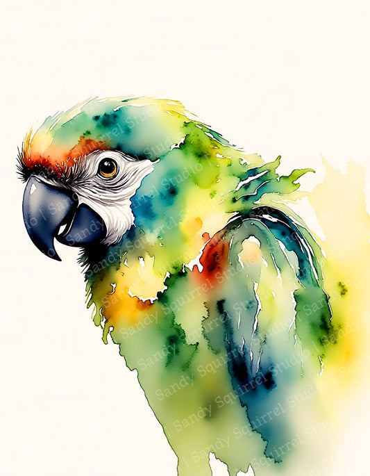 "Tropical Breeze" Original Parrot Tropical Wall Art Print Home Decor