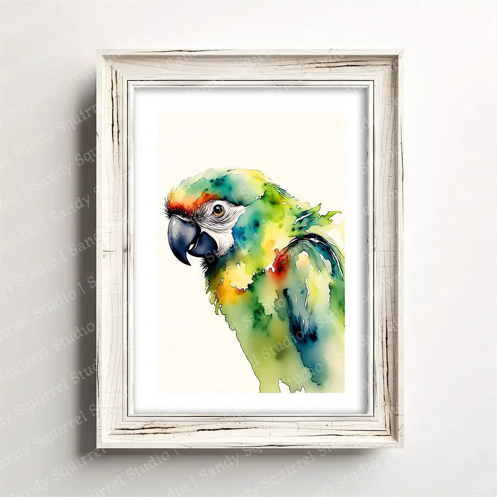 ’Tropical Breeze’ Original Parrot Tropical Wall Art Print Home Decor 5 X 7