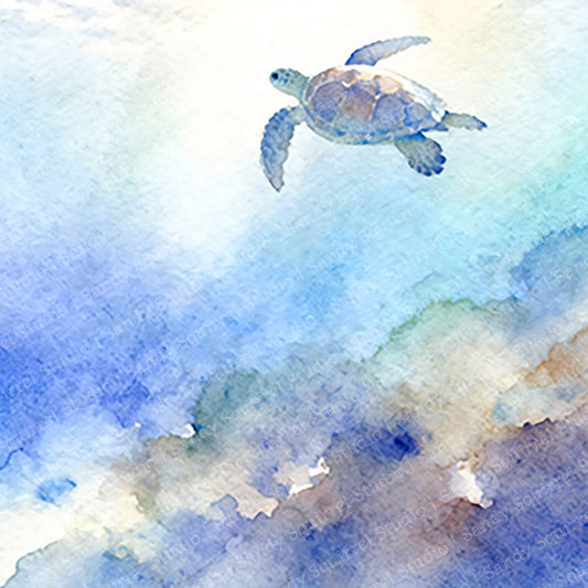 Float Watercolor-Style Coastal Turtle Art